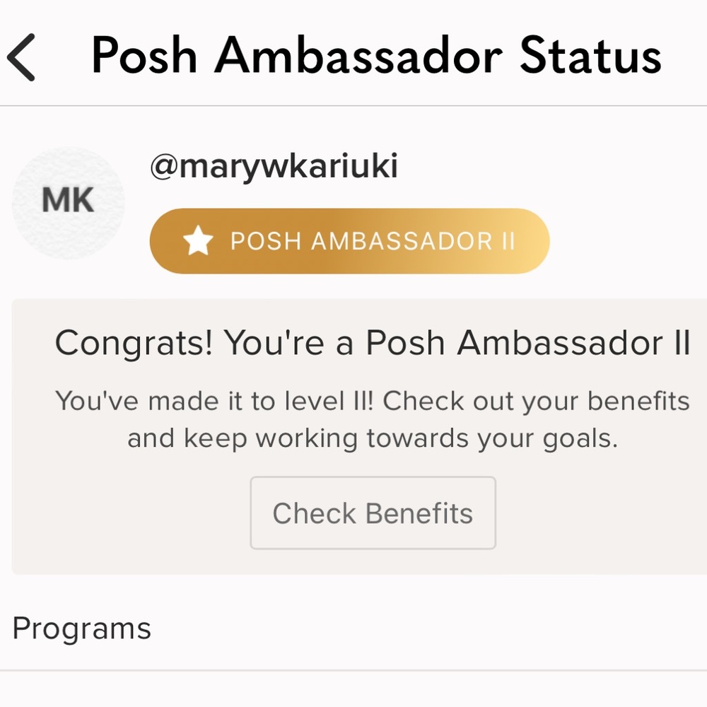 🎉AMBASSADOR II 🎉